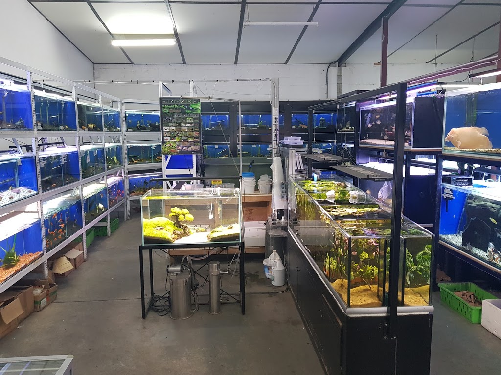 Aggies Aquariums