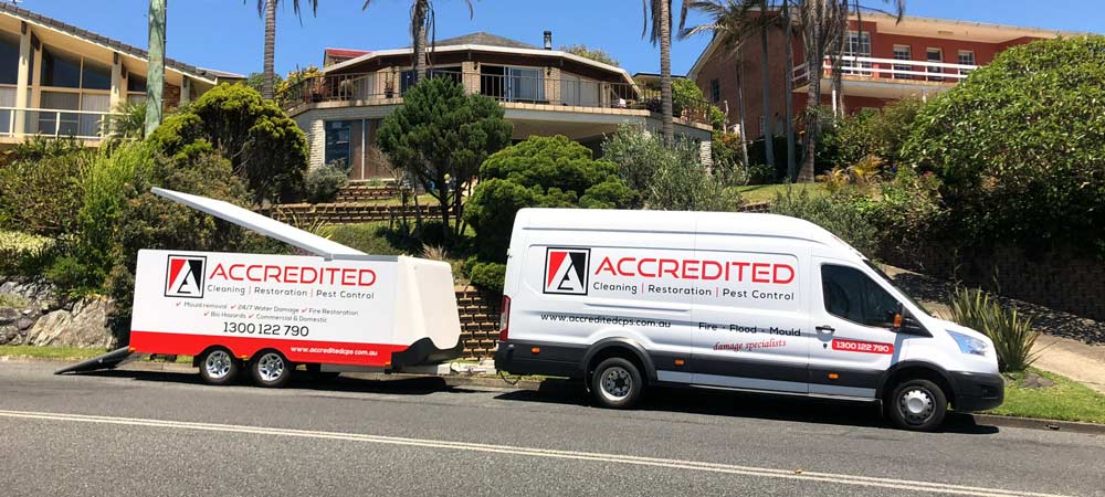 Accredited Cleaning and Pest Solutions