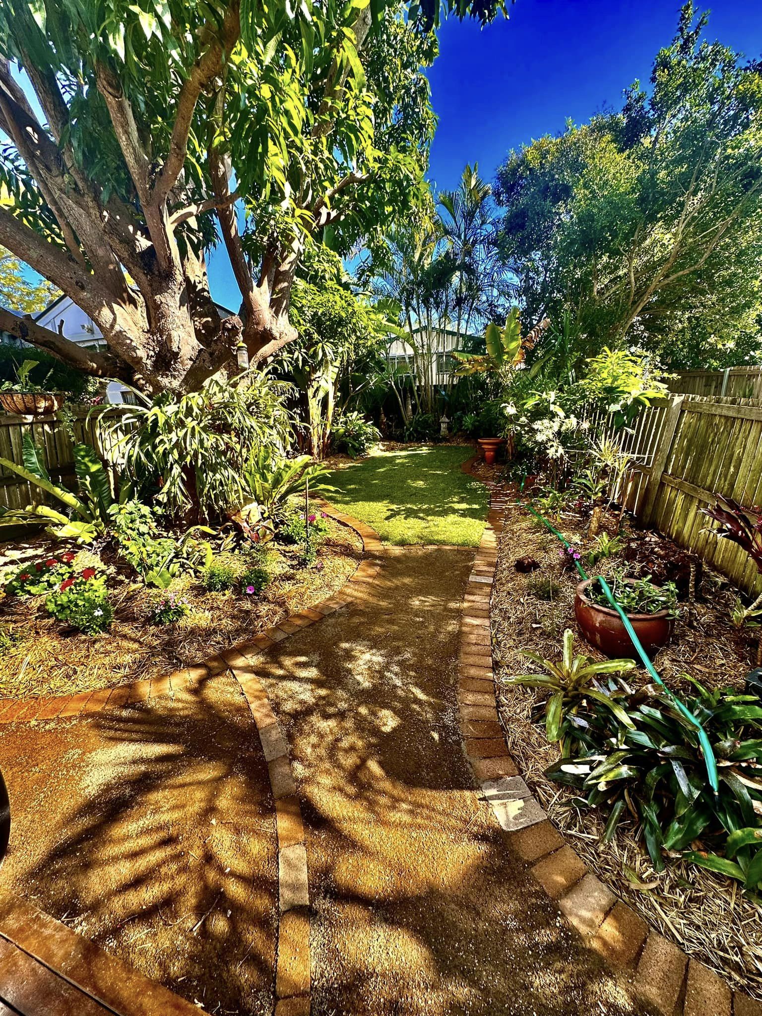 Tree Pruning in Mount Cotton Tree Pruning in Mount Cotton